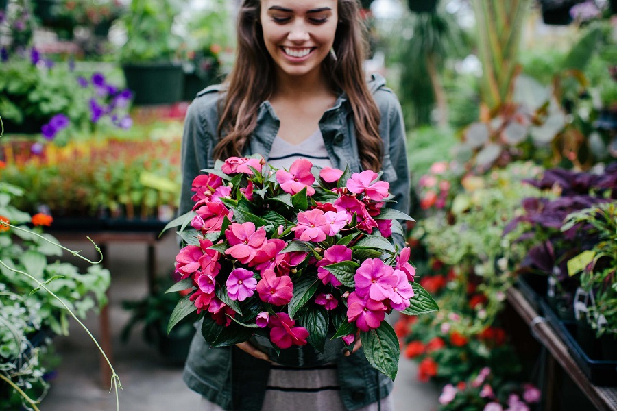 Greenhouse worker holding flowers grown in the Hoge Greenhouses
